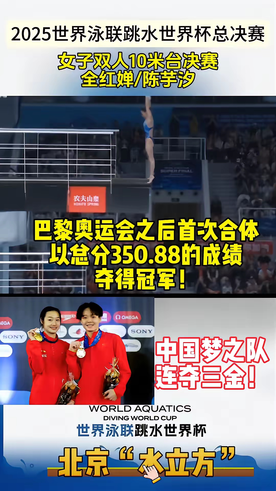 关于中国跳水队蝉联双人项目冠军，实力无可匹敌的信息